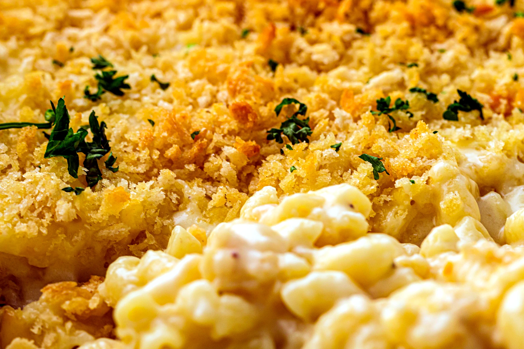 Close look at the creamy corner of baked mac and cheese