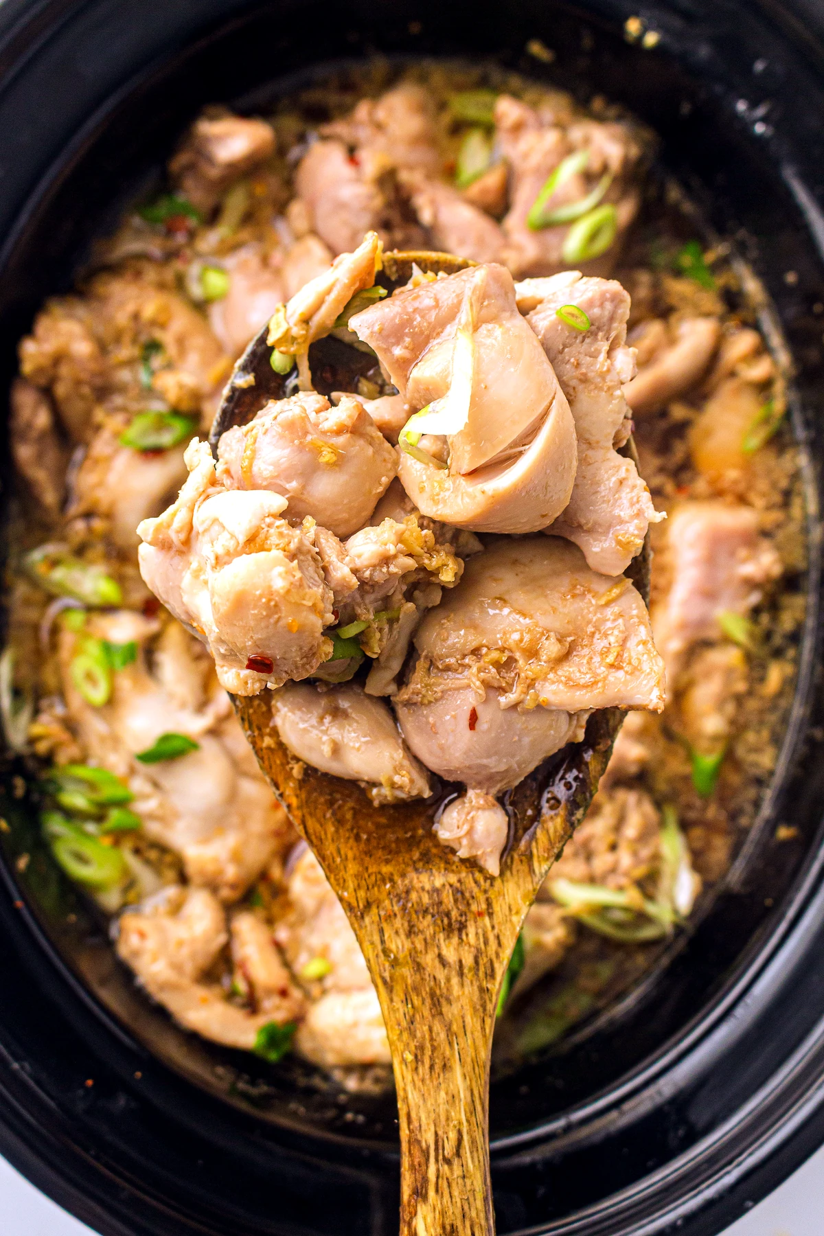 Close look at slow cooker honey garlic chicken