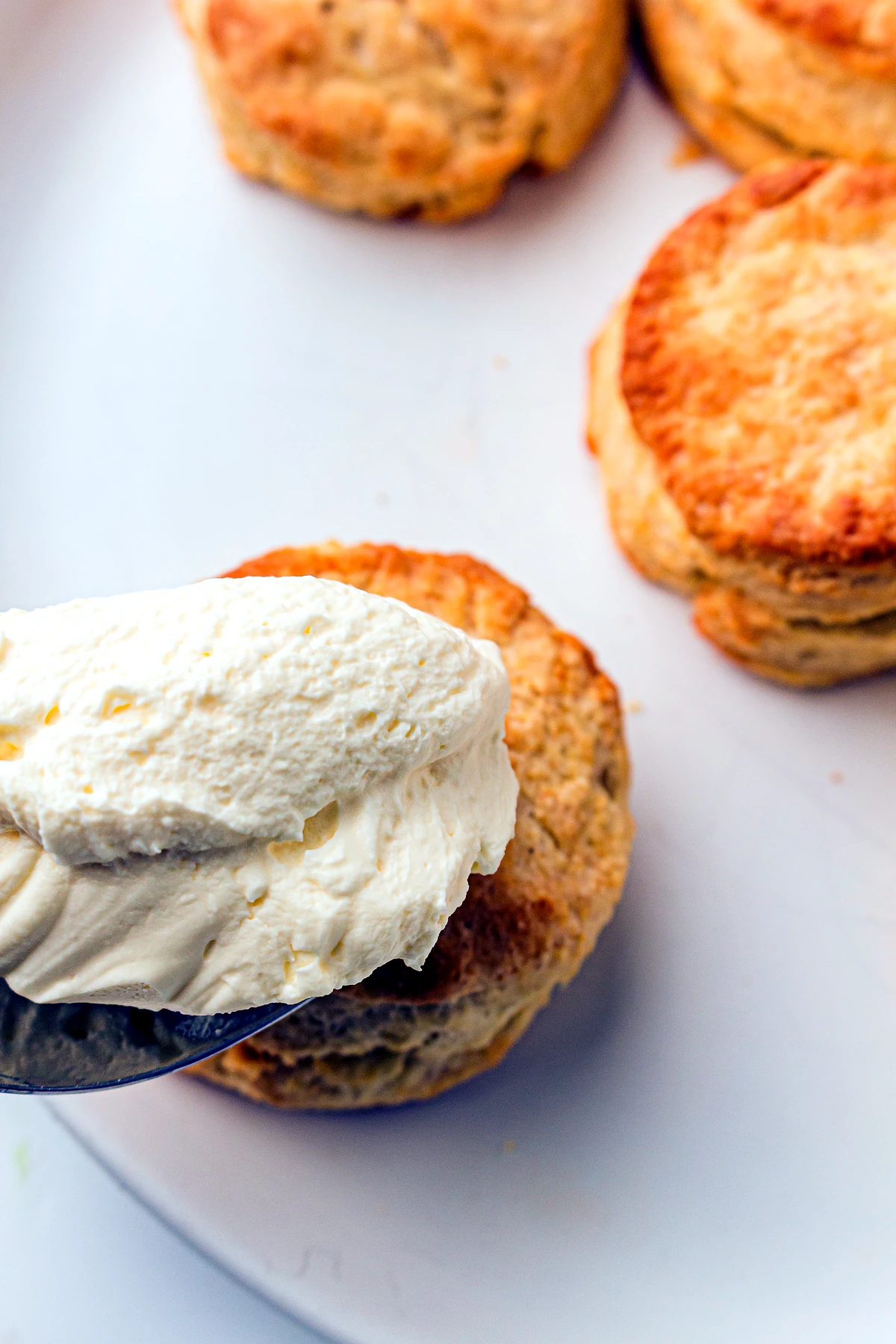 Whipped cream added to biscuit bottoms