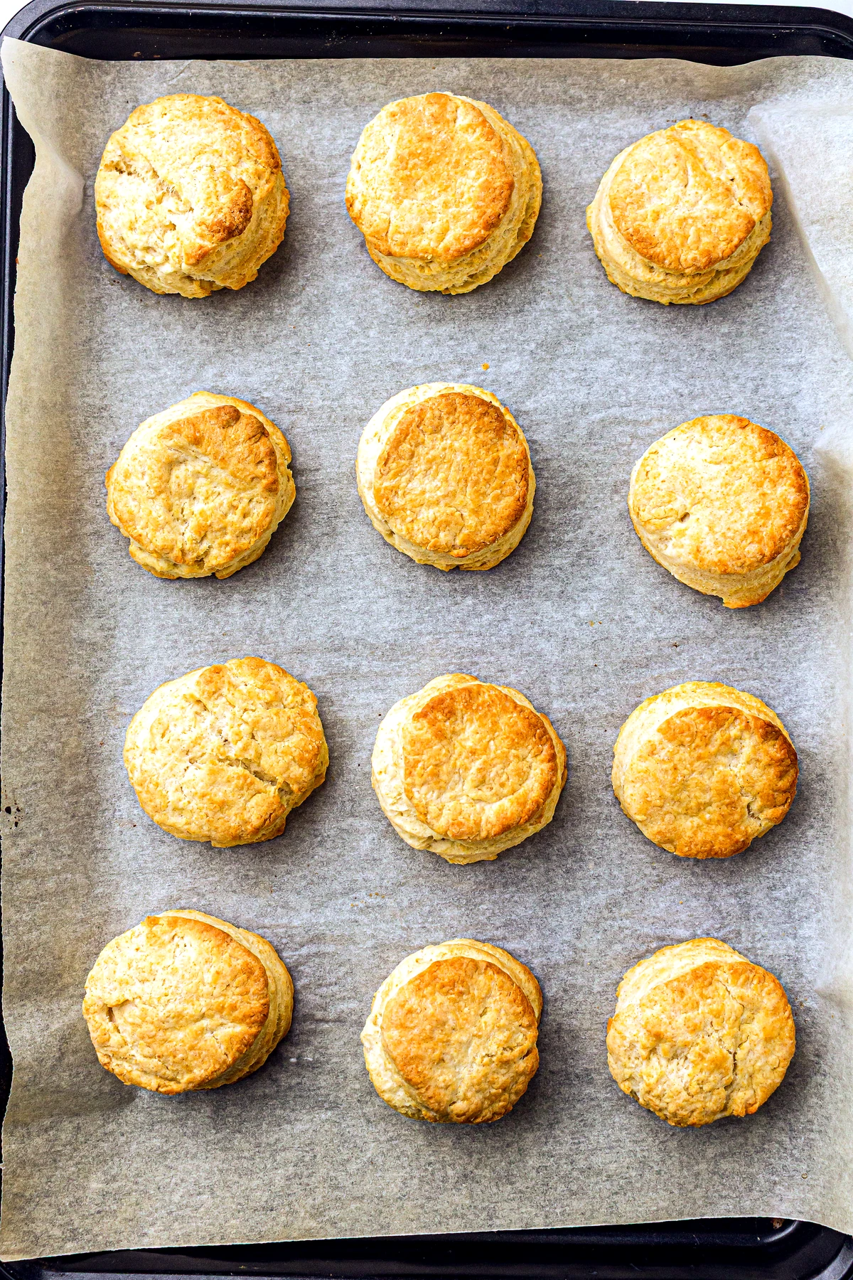 Baked shortcake biscuits on a tray
