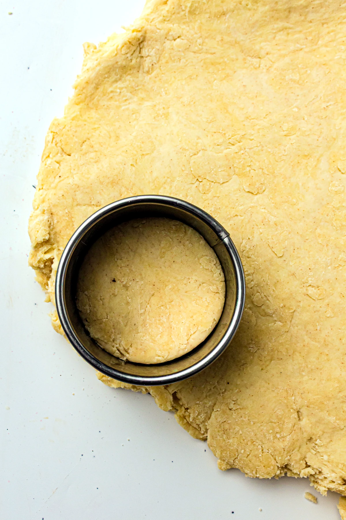 Shortcake biscuit rounds cut from dough